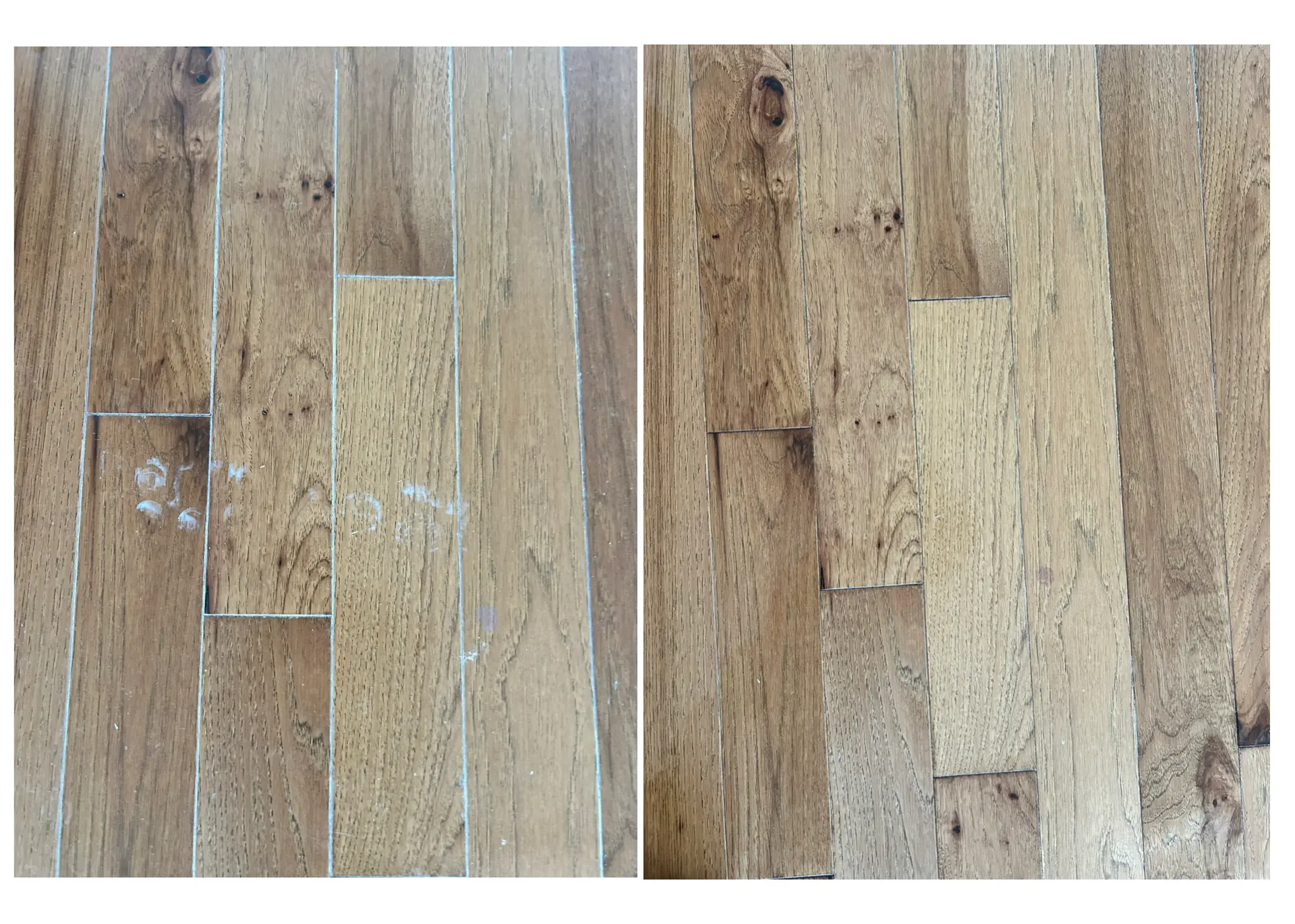 Before and after of hardwood flooring with paint and debris removed after construction
